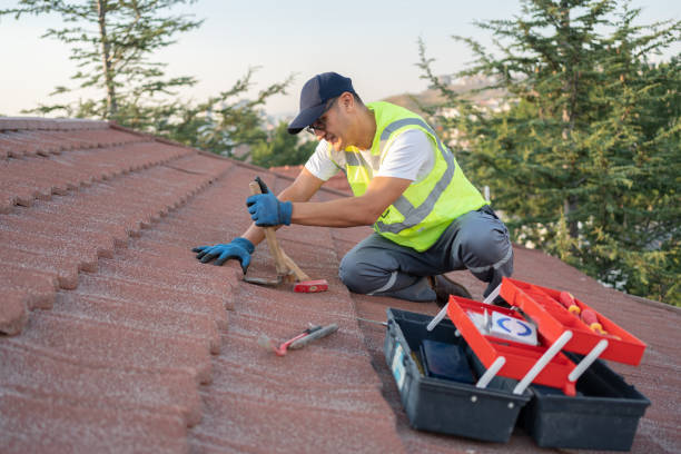 Best Tile Roofing Contractor  in Dyer, IN